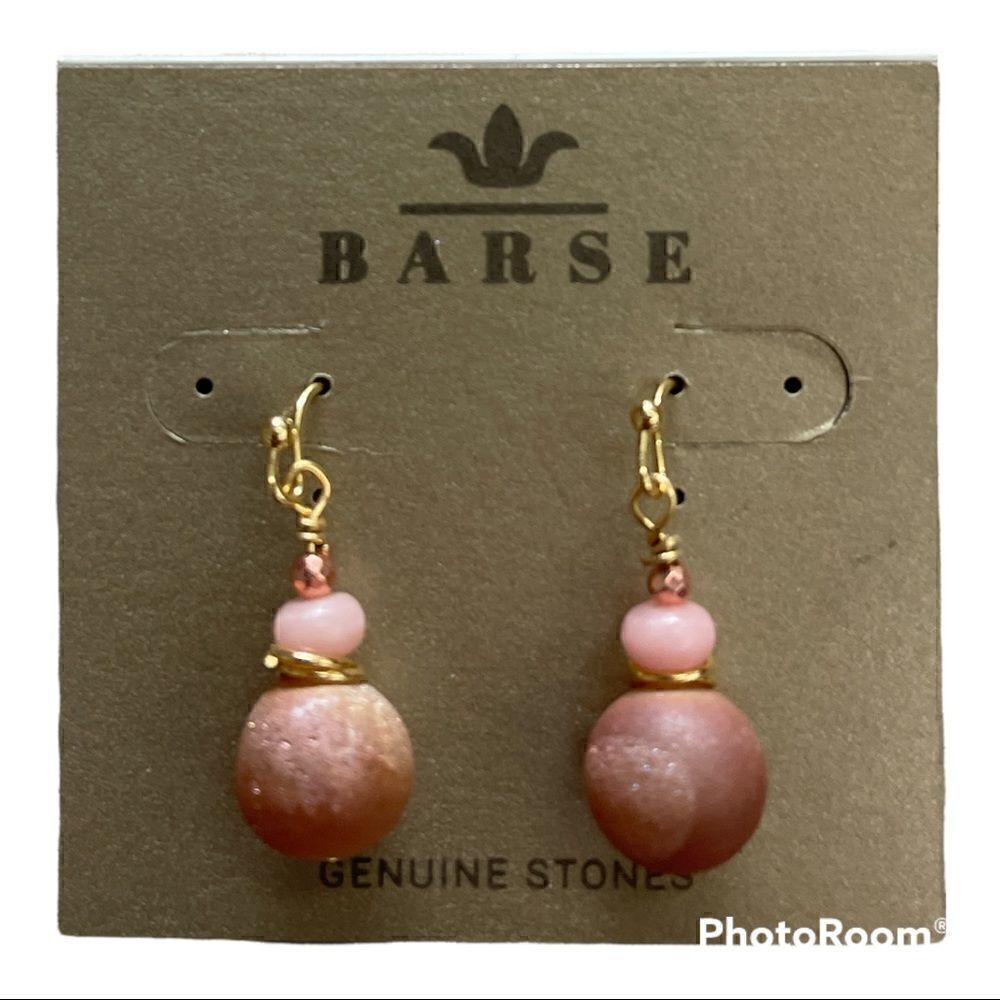 𝅺barse dangle stone earrings NWT